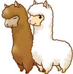 New Animals